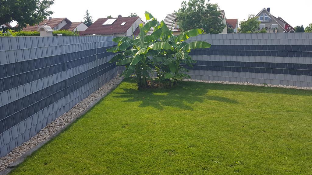 ריינהאוזן Ferienhaus Schwoerer מראה חיצוני תמונה